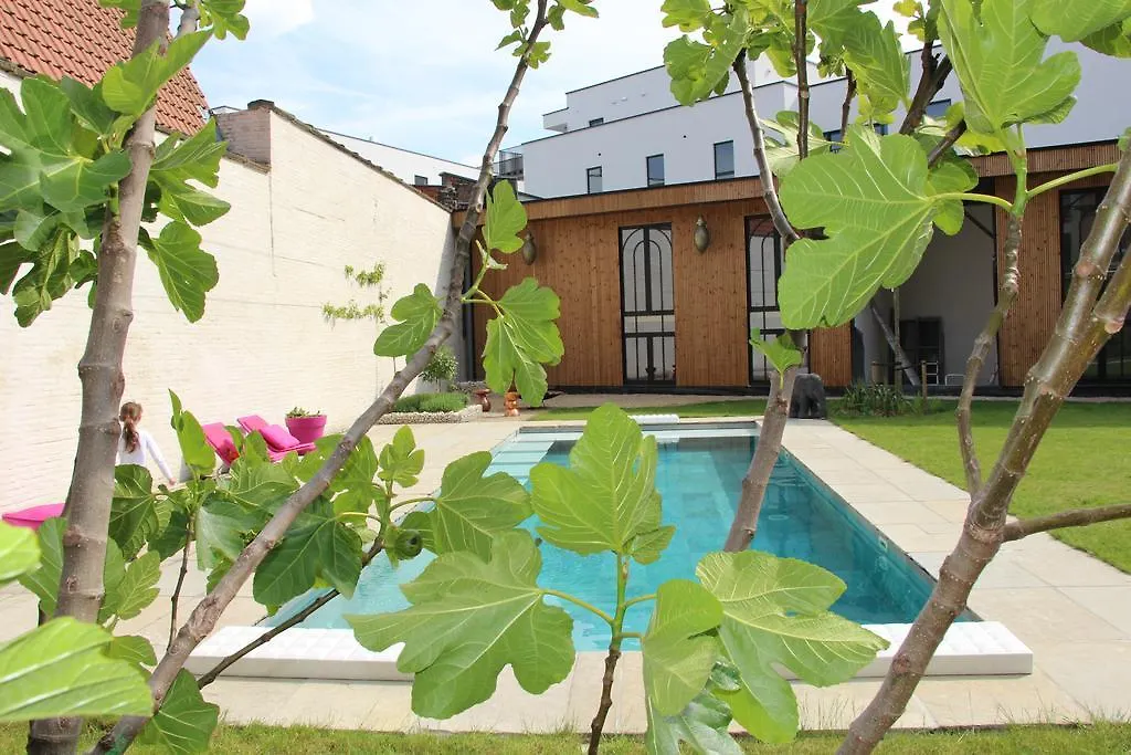 ***** Nocleg ze śniadaniem Koto Garden Suites Antwerpia Belgia