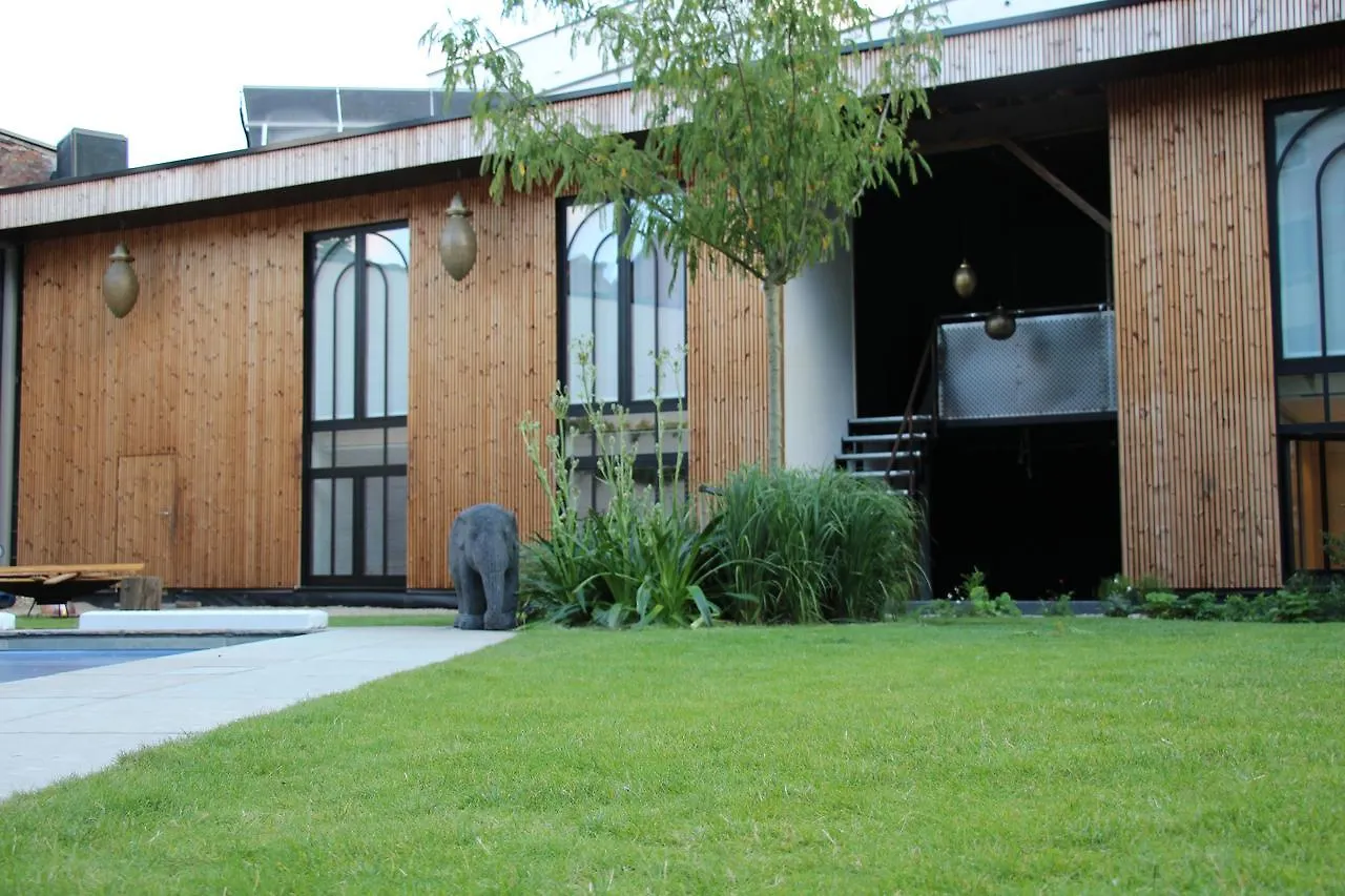 Nocleg ze śniadaniem Koto Garden Suites Antwerpia