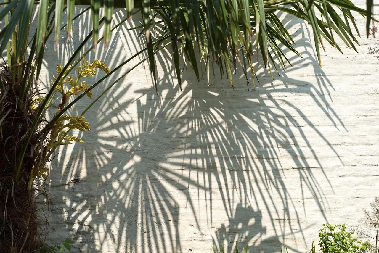 Koto Garden Suites Antwerpia Nocleg ze śniadaniem